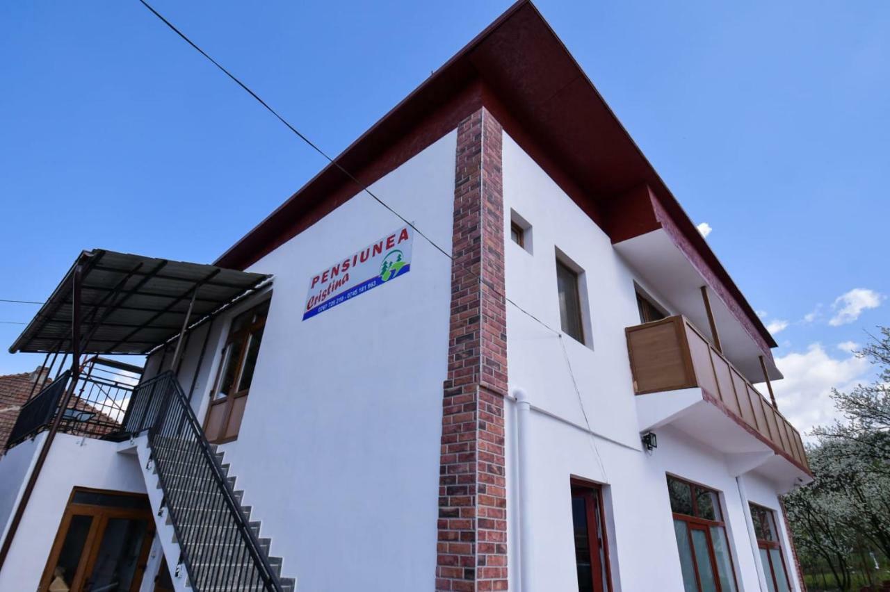 Pensiunea Cristina Viseu de Sus Exterior photo