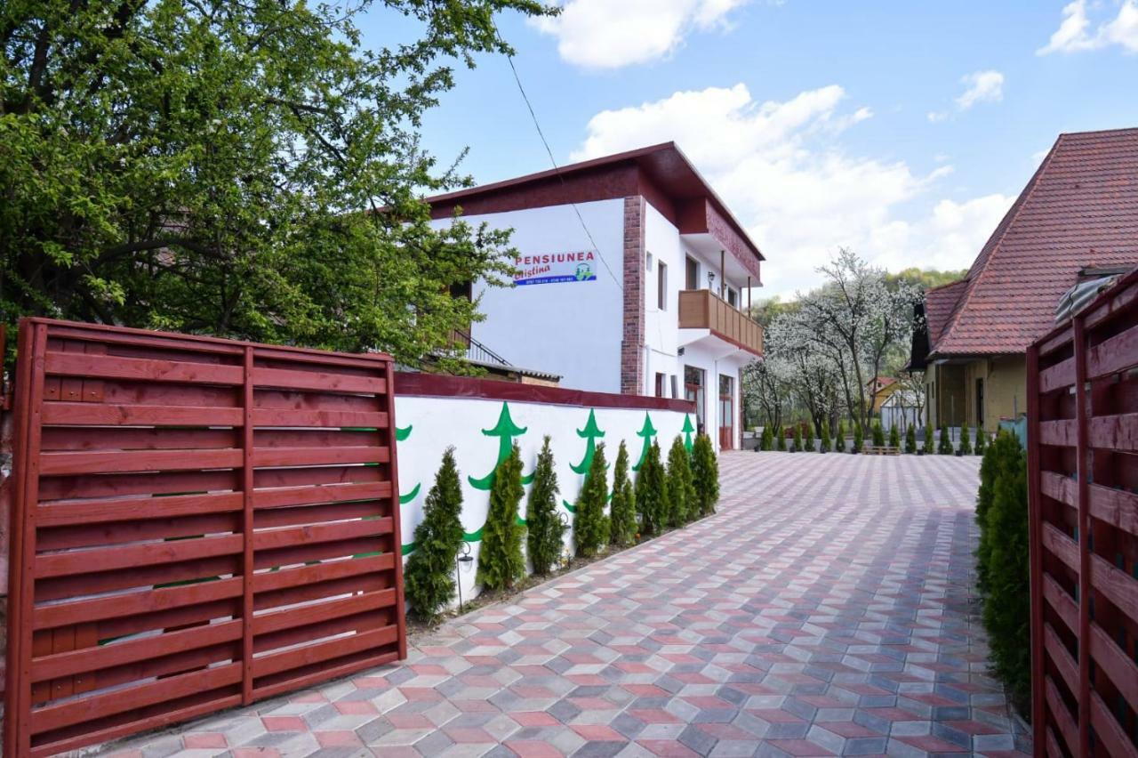 Pensiunea Cristina Viseu de Sus Exterior photo